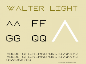 Walter Light Version 1.000;PS 001.000;hotconv 1.0.88;makeotf.lib2.5.64775图片样张