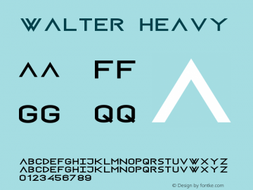 Walter Heavy Version 1.000;PS 001.000;hotconv 1.0.88;makeotf.lib2.5.64775图片样张