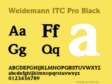 Weidemann ITC Pro Black Version 1.00 Build 1000图片样张