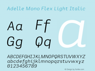 Adelle Mono Flex Light Italic Version 1.001;hotconv 1.0.114;makeotfexe 2.5.65599图片样张