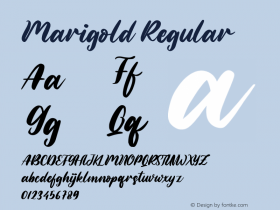 Marigold Version 1.00;July 24, 2020;FontCreator 12.0.0.2567 64-bit图片样张