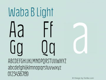Waba B Light Version 1.000;hotconv 1.0.109;makeotfexe 2.5.65596图片样张