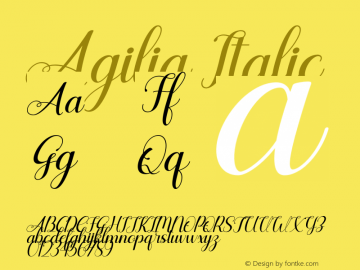Agilia Italic Version 1.00;December 13, 2020;FontCreator 13.0.0.2683 64-bit Font Sample