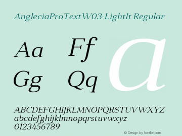 Anglecia Pro Text W03 Light It Version 1.00 Font Sample