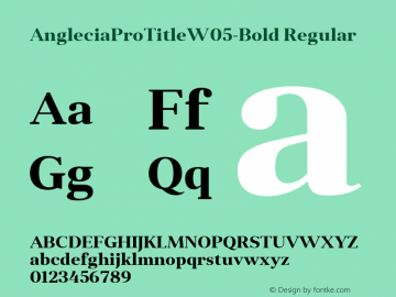 Anglecia Pro Title W05 Bold Version 1.00 Font Sample