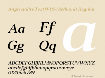 Anglecia Pro Text W05 Medium It Version 1.00 Font Sample