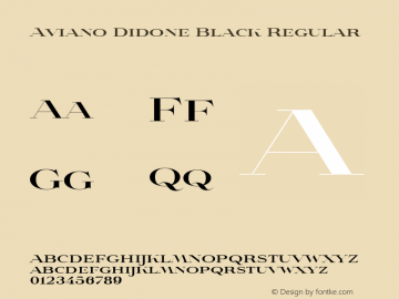 Aviano Didone W05 Black Version 1.00图片样张