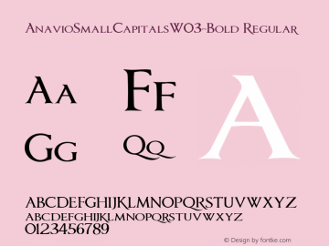 Anavio Small Capitals W03 Bold Version 1.00图片样张