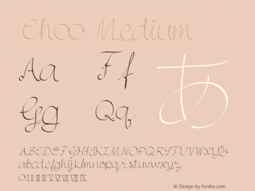 Ch00 Medium Version 001.000图片样张