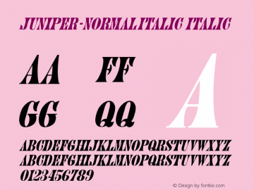 Juniper-Normal Italic Italic Unknown图片样张