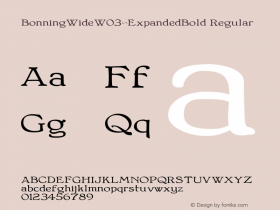 Bonning Wide W03 Expanded Bold Version 1.00 Font Sample