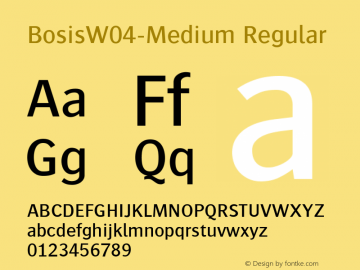 Bosis W04 Medium Version 1.00图片样张