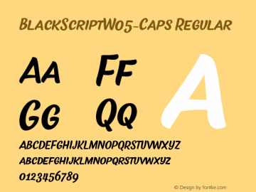 Black Script W05 Caps Version 1.00图片样张