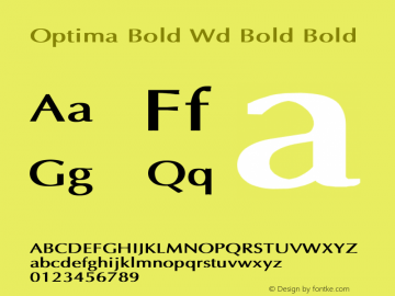 Optima Bold Wd Bold Bold Unknown Font Sample
