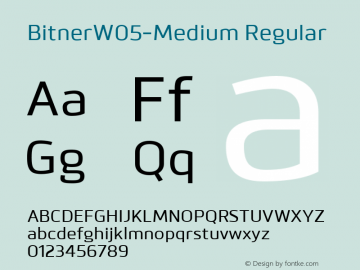 Bitner W05 Medium Version 1.00图片样张