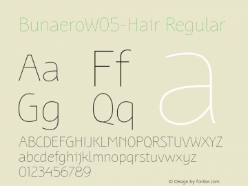 Bunaero W05 Hair Version 1.123图片样张