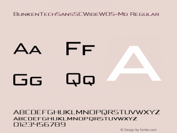 Bunken Tech Sans SC Wide W05 Md Version 1.48图片样张