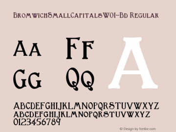 Bromwich Small Capitals W01 Bd Version 1.00图片样张