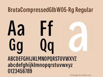 Bruta Compressed Glb W05 Rg Version 1.03图片样张