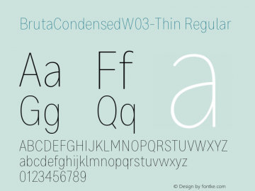 Bruta Condensed W03 Thin Version 1.03 Font Sample