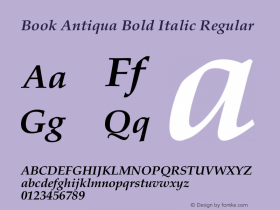 Book Antiqua Bold Italic Regular Unknown图片样张