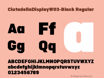 Ciutadella Display W03 Black Version 1.00图片样张