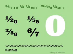 Clarendon Text Fractions W05 Bd Version 1.00图片样张