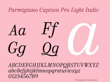 ParmigianoCaptionPro-LtIta Version 1.0; 2014图片样张