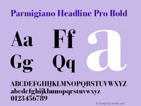 ParmigianoHeadlinePro-Bld Version 1.0; 2014 Font Sample