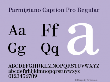 ParmigianoCaptionPro-Reg Version 1.0; 2014图片样张