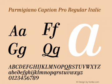 ParmigianoCaptionPro-RegIta Version 1.0; 2014 Font Sample