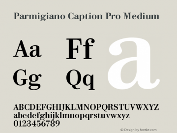 ParmigianoCaptionPro-Med Version 1.0; 2014图片样张