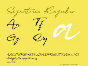 Signatrue Version 1.00;December 30, 2020;FontCreator 13.0.0.2683 64-bit Font Sample