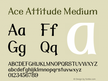 Ace Attitude Medium 1.000图片样张