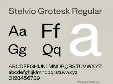 Stelvio Grotesk Regular Version 1.00 Font Sample