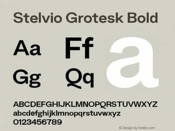 Stelvio Grotesk Bold Version 1.00 Font Sample