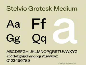 Stelvio Grotesk Medium Version 1.00 Font Sample