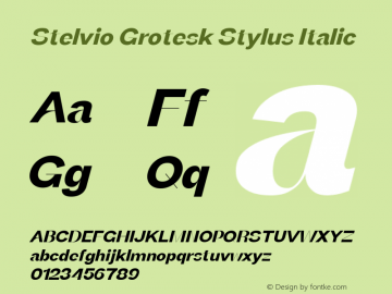 Stelvio Grotesk Stylus Italic Version 1.00图片样张