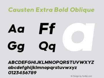Causten Extra Bold Oblique Version 1.000 | web-TT图片样张
