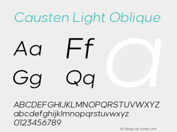 Causten Light Oblique Version 1.000 | web-TT图片样张