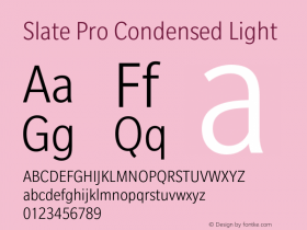 SlateProCondensed-Light Version 1.01, build 10, s3 Font Sample