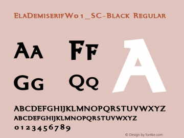 Ela Demiserif W01_SC Black Version 1.1 Font Sample