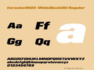 Eurocine W05 Wide Black Oblique Version 1.00图片样张