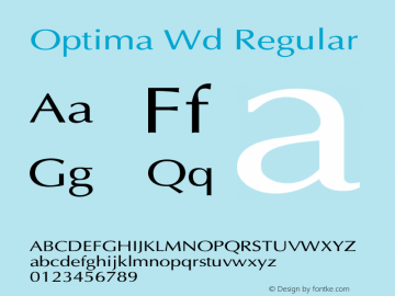 Optima Wd Regular Unknown图片样张