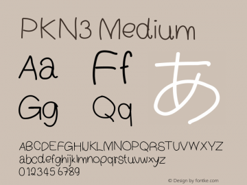 PKN3 Version 001.000图片样张