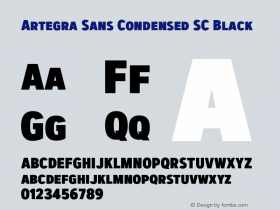 Artegra Sans Condensed SC Black 1.003图片样张