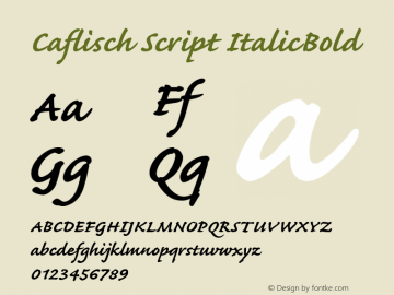 Caflisch Script ItalicBold Version 001.001 Font Sample