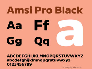 Amsi Pro Black 2.030 Font Sample