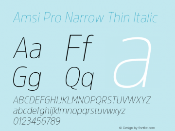 Amsi Pro Narrow Thin Italic 2.030图片样张