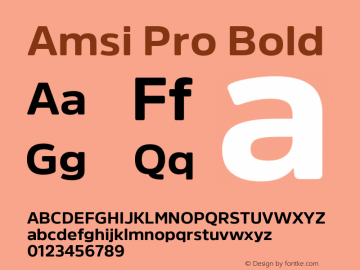 Amsi Pro Bold 2.030 Font Sample